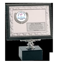 ODAK KUPA - Ahşap Plaketler - PL-064 A - 18x24 cm