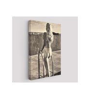 Helmut Newton'un Görülecek Bir Sergi Tablosu-6289
