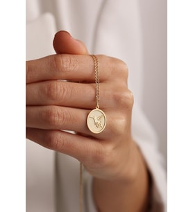 Kişiye Özel 925 Ayar Gümüş Şık Sinek Kuşu Model Kolye (Gold)