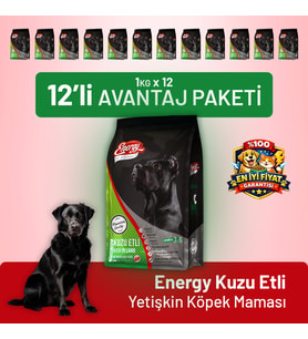 Kuzu Etli Yetişkin Köpek Maması - 12 Adet