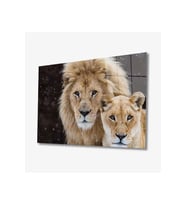 Miyrem Glasses Collection -A1^#  Aslan Hayvan Cam Tablo (Çok Renkli)