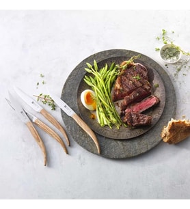Zwilling 391600000 4'Lü Biftek Bıçağı Seti (Çok Renkli)