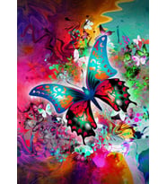 Nova 1000 Parça Kelebeğin Doğuşu Fantastik Puzzle - 41021