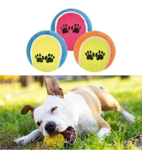 BUFFER® 3lü Renkli Desenli Tenis Topu Kedi Köpek Oyuncağı
