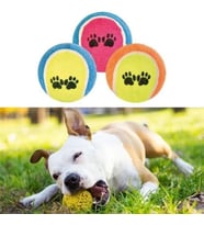 BUFFER® 3lü Renkli Desenli Tenis Topu Kedi Köpek Oyuncağı
