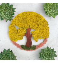 Yuvarlak Sarı Pano Moss Yosun Bonsai Ağacı Moss Garden Dekoratif Hediyelik Mini Biblo
