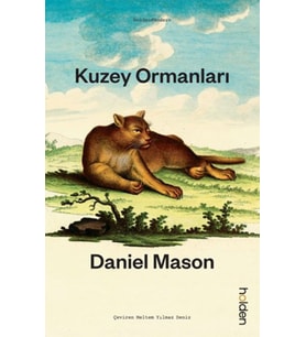 Kuzey Ormanları