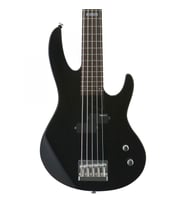 ESP LTD B-15 Kit Mat Siyah 5 Telli Bas Gitar