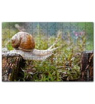 Cakapuzzle Kütükten Otların Üzerine İnen Salyangoz Puzzle Yapboz MDF (Ahşap) (120 Parça)