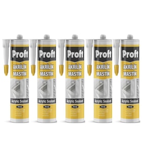 Proft Pr100 Akrilik Mastik 450 Gr Beyaz 5 Adet