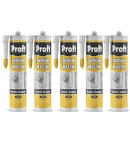 Proft Pr100 Akrilik Mastik 450 Gr Beyaz 5 Adet