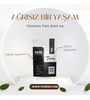 TEOREMS GLOBAL PAİN PATCHES 25 ADET AĞRI BANDI 