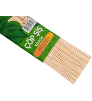 Çöp Şiş, 100 Adet