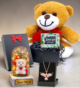 Kişiye Özel Kalpli Peluş Ayıcıklı Süper Hediye Seti & Led Işıklı Fanuslu (Model 4)