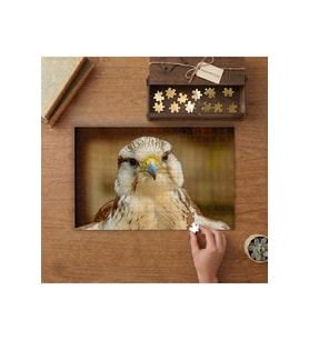 Şahin - Yırtıcı Kuş Tasarımı 240 parça Ahşap Puzzle Ahşap Kutuda MP05015