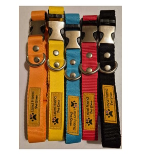 köpek boyun tasma 5li set 30-43 cm