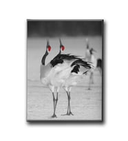 Japon Turnası Canvas Tablo MİND744