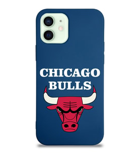 Apple iPhone 12 Uyumlu Lansman Kılıf Chicago Bulls Tasarımlı Altı Kapalı İçi Kadife Kaplı  Kapak (Şeffaf)