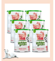 Golden Goat Keçi Bebek Sütü 1 Numara 400 gr 6'lı Paket