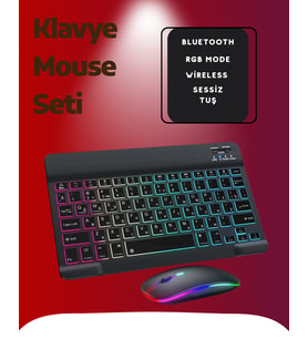 Pg8033 Klavye Mouse Seti - Lisinya