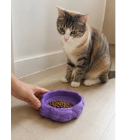 Eko Form Model Beton Kedi Köpek Mama ve Su Kabı (16cm*16cm*5.5cm) - Mor