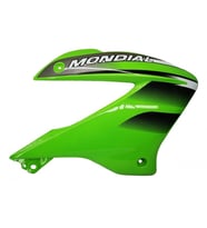 Mondial X-Treme Max 200 Benzin Deposu Sağ Grenaj Yeşil Orijinal