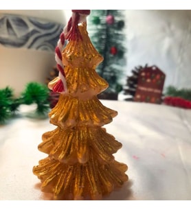 Gold Çam Ağacı