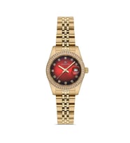 Momentus Shiny Collection SW135G-14SG Kadın Kol Saati