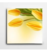 Sarı Laleler Kare Kanvas Tablo
