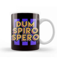 Dum Spiro Spero Education Motivation Latin Phrase Language Kupa Bardak Porselen