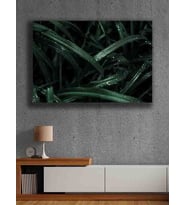 Koç stüdyo Modern tasarım kanvas tablo 50x70 (Çok Renkli)