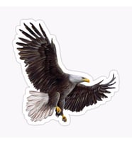Araba için Kartal Oto Sticker Yapıştırması Etiket  17CM q1