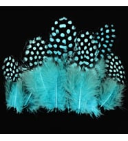 50 ADET PUANTİYELİ MAVİ SİYAH KUŞ TÜYÜ MAVİ KUŞ TÜYÜ DECOR BLUE BIRD FEATHER MAVİ ŞEFFAF BALON TÜYÜ