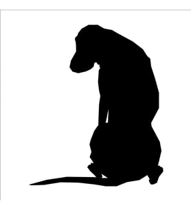 KÖPEK FOLYO STİCKER 80cm Uzunluk (Karışık)