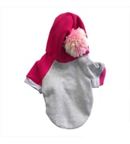 Pink Amigo Sweatshirt Kapşonlu Kedi Kıyafeti Kedi Sweatshirt (Turuncu)