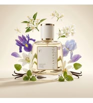 FIANENDÉI PARFUMS W-L1 SPECIAL KADIN PARFUM 50 ML