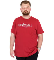 Mode XL Büyük Beden Erkek T-Shirt Bisiklet Yaka ORIGINALS U25038 Bordo