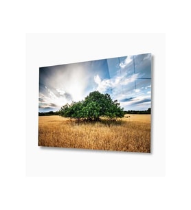 Doğa Cam Tablo 4mm Dayanıklı Temperli Cam (Çok Renkli)