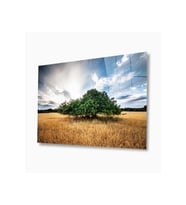 Doğa Cam Tablo 4mm Dayanıklı Temperli Cam (Çok Renkli)