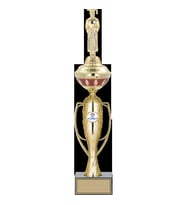 ODAK KUPA - Figürlü Kupalar - Mezuniyet Erkek Figürlü Kupalar FG-073 C - 48 cm