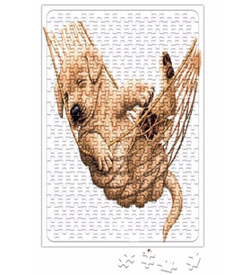 Pug Köpek Puzzle 240 Parça Yapboz
