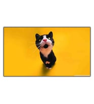 PEMBE BURUNLU SMOKİN KEDİ KANVAS TABLO