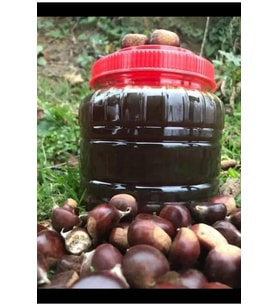Kestane Balı 1 kg Kastamonu Bölgesi