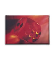 Zar  Canvas Tablo BJY112