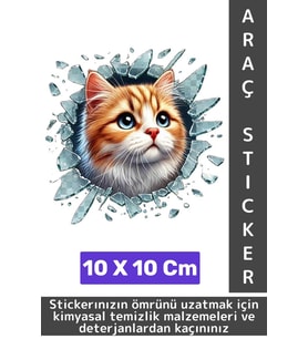 Özel Tasarım Araç Dış Modifiye Eğlenceli Yaratıcı Şık 3D Evcil Hayvan Kedi Köpek Sticker 10 X 10 Cm