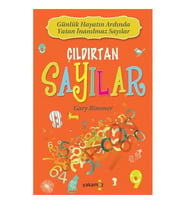Çıldırtan Sayılar