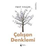 Çalışan Denklemi