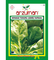 Matador (İthal) Ispanak Tohumu 25 Gr