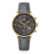 Edox ED1040837JGGBD Erkek Kol Saati