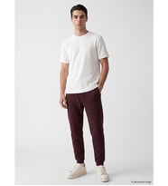 LCWAIKIKI Classic Bordo Regular Fit Erkek Jogger Eşofman Altı